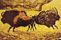 Наскальные рисунки пещеры Ласко во Франции